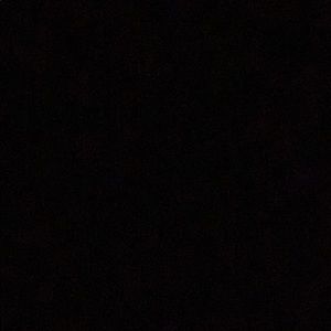 Meet your Posher, Evan